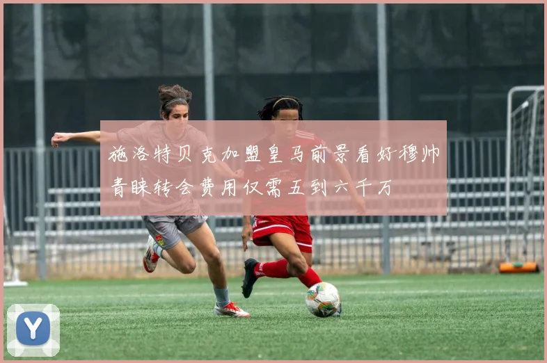 施洛特贝克加盟皇马前景看好穆帅青睐转会费用仅需五到六千万