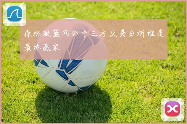 森林狼篮网公牛三方交易分析谁是最终赢家