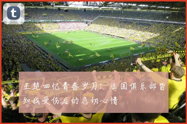 王楚回忆青春岁月：法国俱乐部皆知我受伤后的急切心情